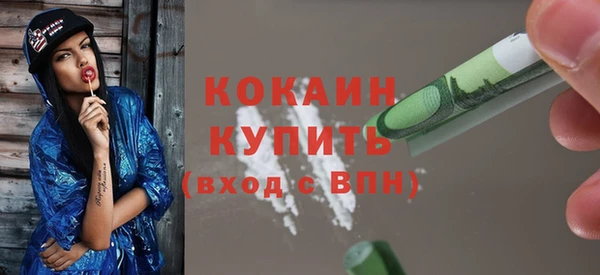 хмурый Верея