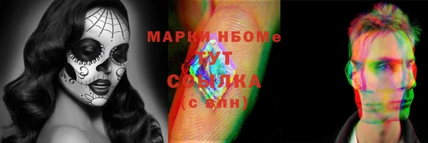 хмурый Верея