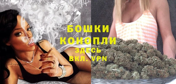 хмурый Верея