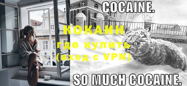хмурый Верея