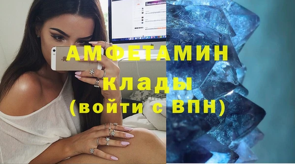 хмурый Верея