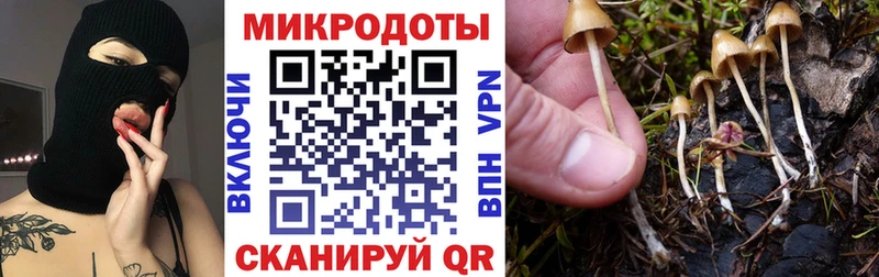 Галлюциногенные грибы мухоморы  Георгиевск 